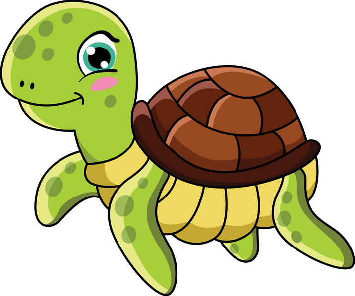 Cartoon Turtle Illustration